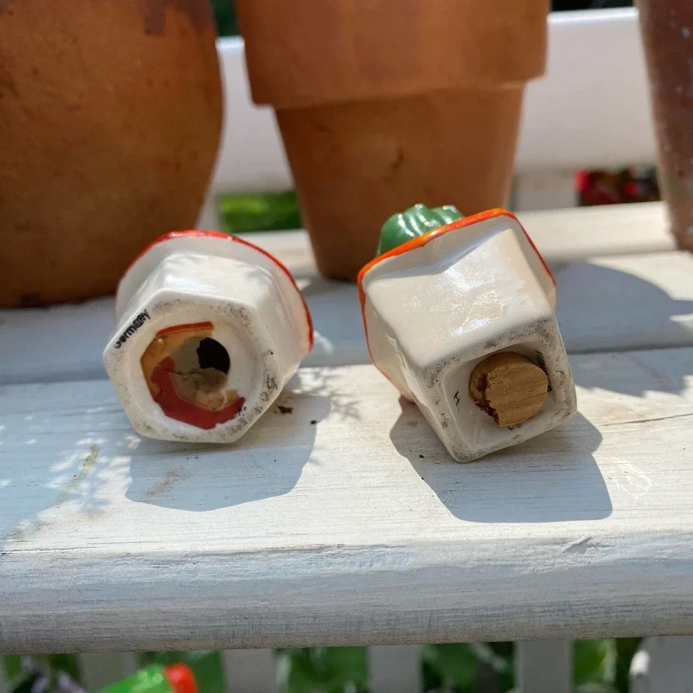 Vintage Cactus Salt & Pepper Shakers